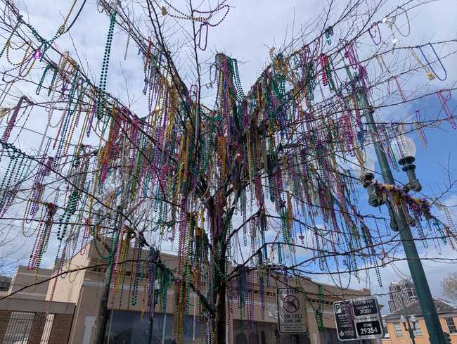 A tree covered in brightly coloured carnival beads.