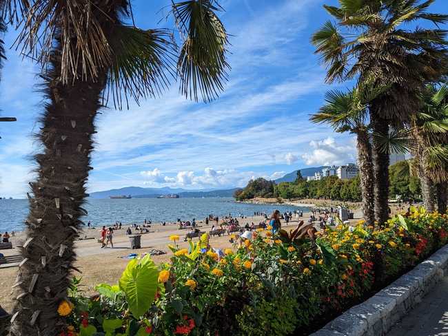 A picture of a beach and the ocean, with short palm trees on either
side and a bed of flowers in front.