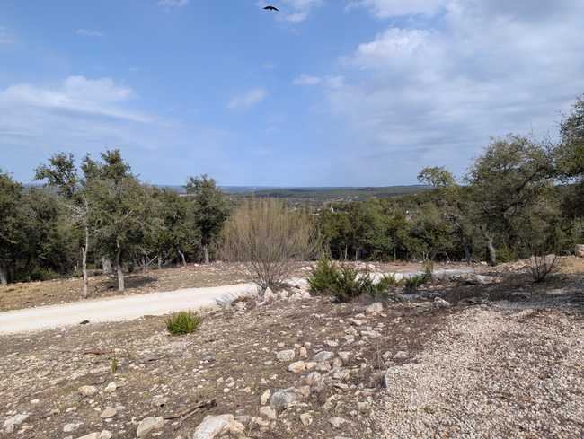Landscape. The ground is dry, rocky earth without any grass. The trees are short but green.