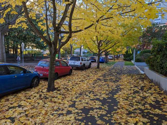 A city sidewalk and grass covered in fallen leaves.