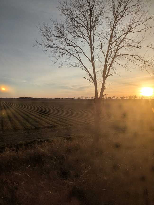 The sunset, as seen through a dirty window.