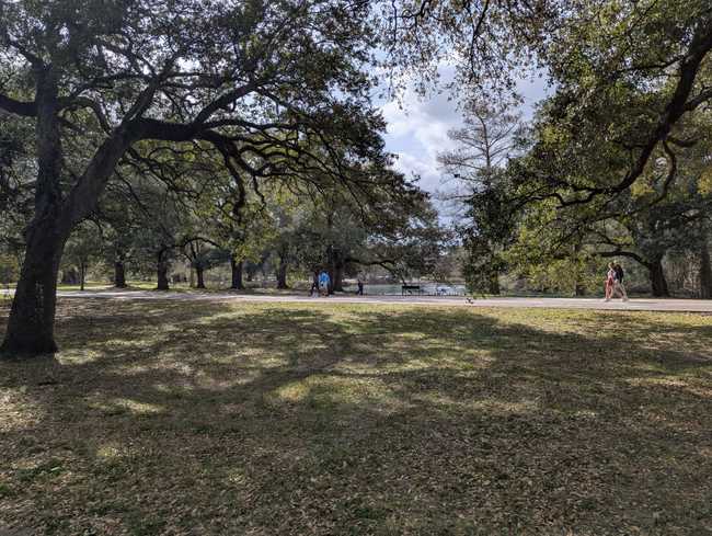 People getting their steps in a nice, shady park.