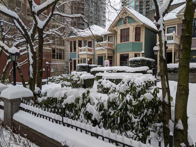 Gabled wood houses covered in snow. A fence, bare trees, and plants in
the foreground, skyscrapers in the background.
