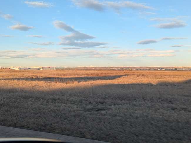 A picture of random prairie in Calgary. It's clear and sunny, but it looks wintery. You can see the Rocky Mountains on
the horizon.