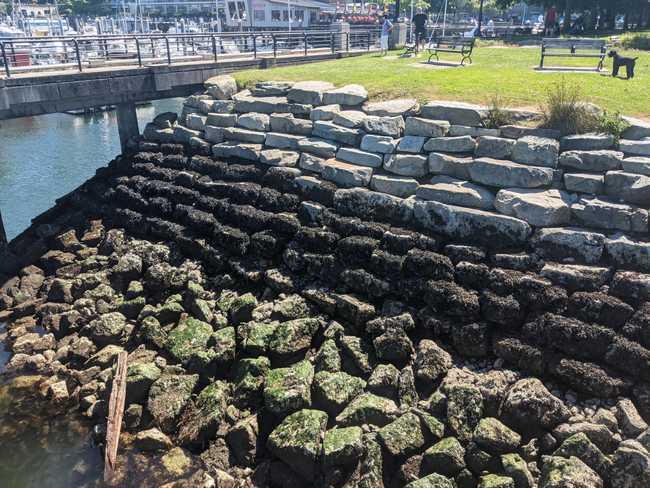 A retaining wall made of large rocks forming steps down to the ocean.
At the top they're orderly, but further down they're scattered by the
ocean and covered in seaweed.