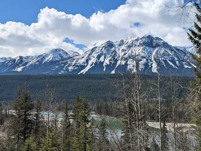 Trees in the foreground, then river, a wide stretch of forest, and
looming snowy mountains in the distance.