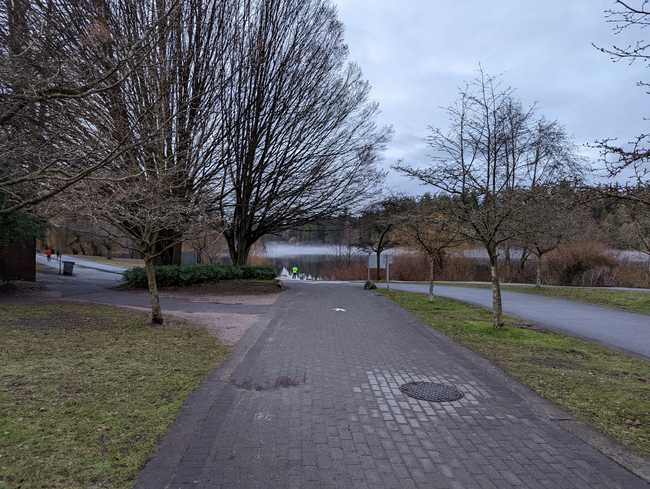 Looking down a footpath towards a lake. There are trees in the
foreground, all without leaves. The sky is grey and there's mist on the
lake.