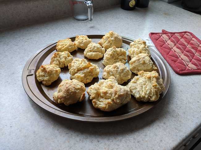 Fresh biscuits on a round pan