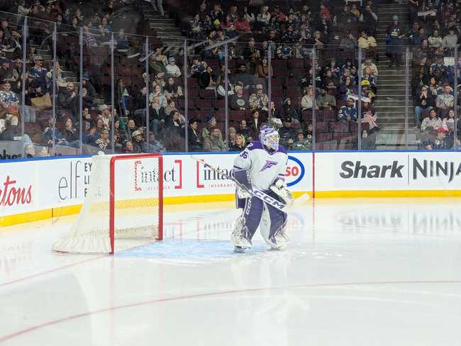 A goalie in front of the net, ready for anything.
