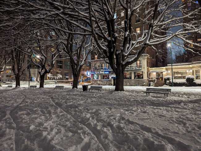 A park covered by snow at night. Large trees, bereft of leaves but
laden with snow, obscure the buildings behind.